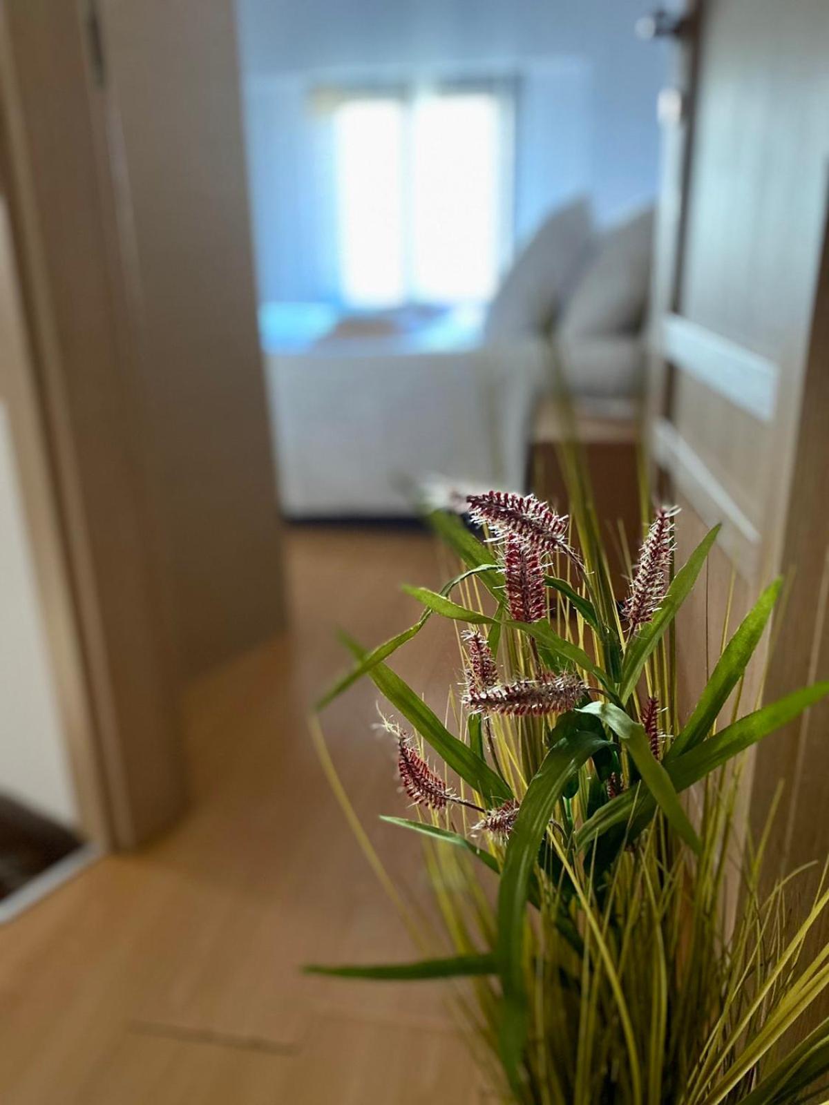 Casa Del Sol Lejlighed Aronion Eksteriør billede